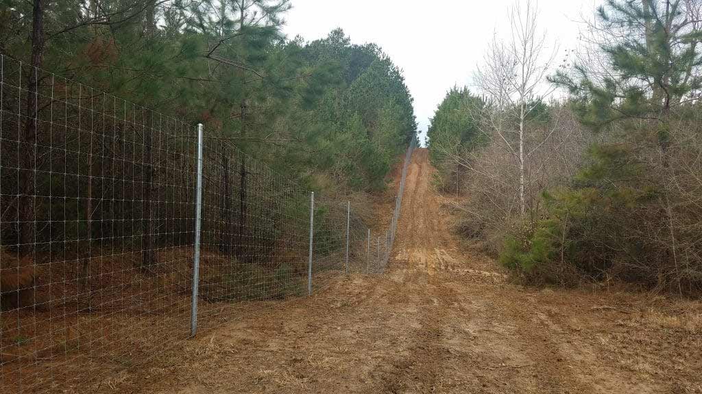 8 ft fence on 15 ft w clearing