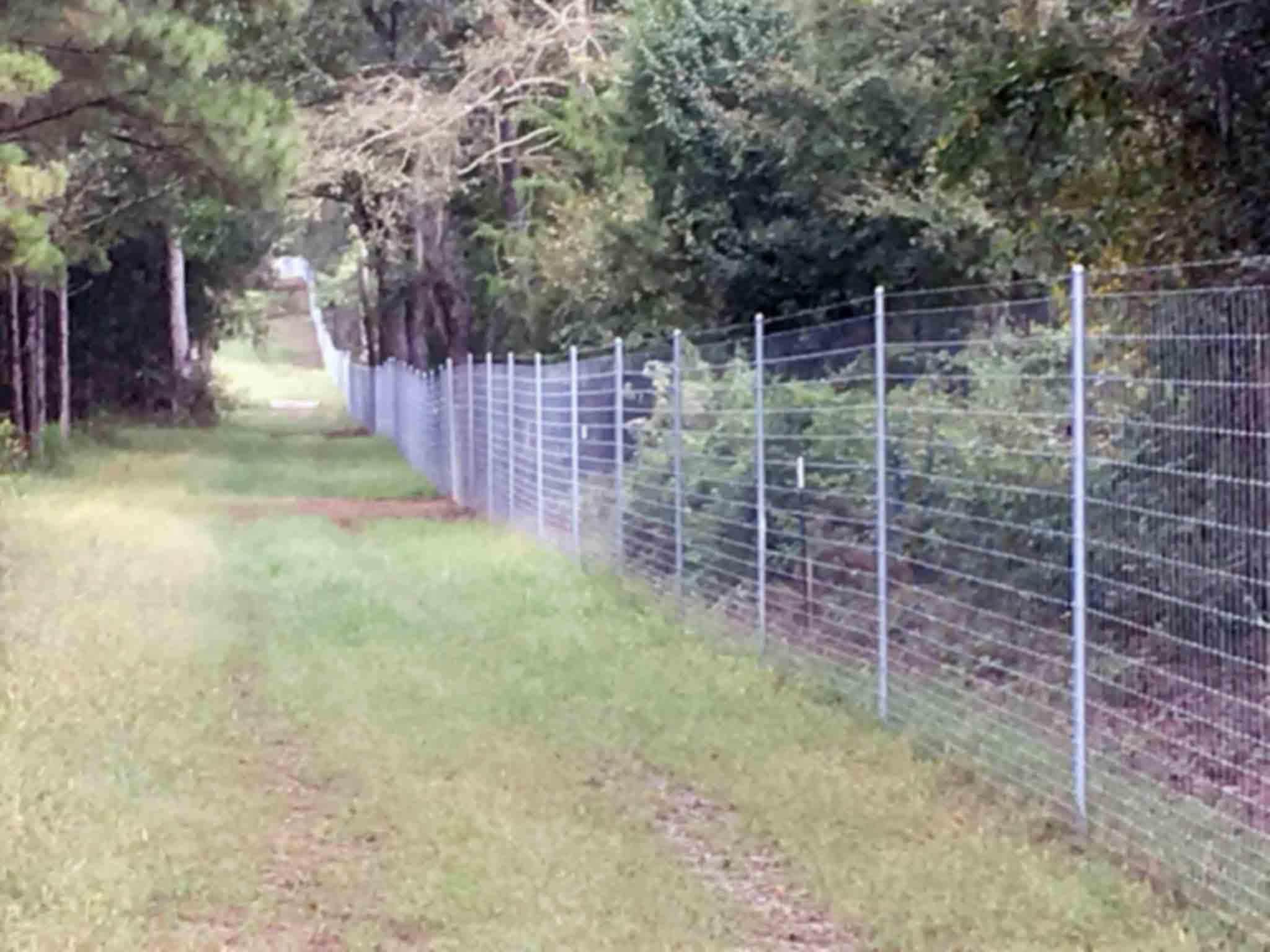 8 ft fence on 25 ft w clearing.,